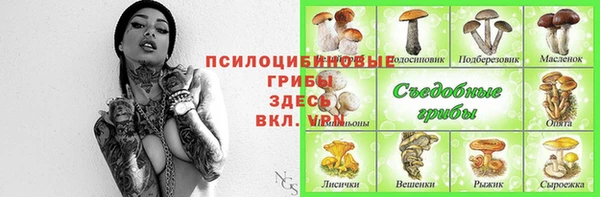 ешки Белокуриха
