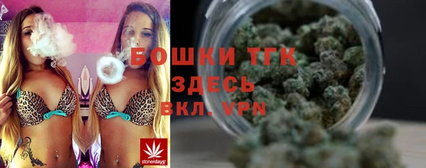 индика Беломорск