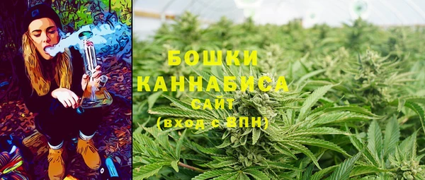 ешки Белокуриха