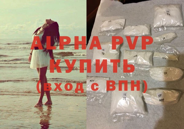ешки Белокуриха