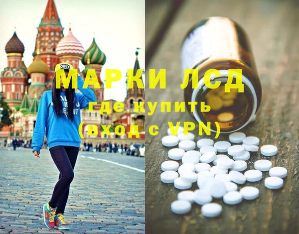 индика Беломорск
