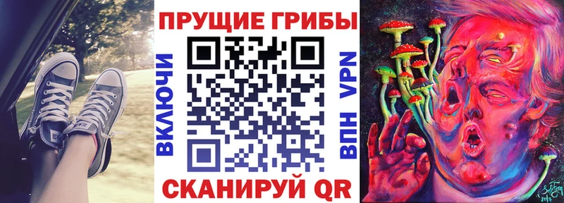 Псилоцибиновые грибы ЛСД ссылка на мегу вход Калуга