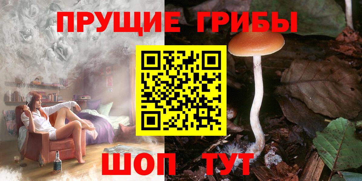 Галлюциногенные грибы GOLDEN TEACHER Калуга
