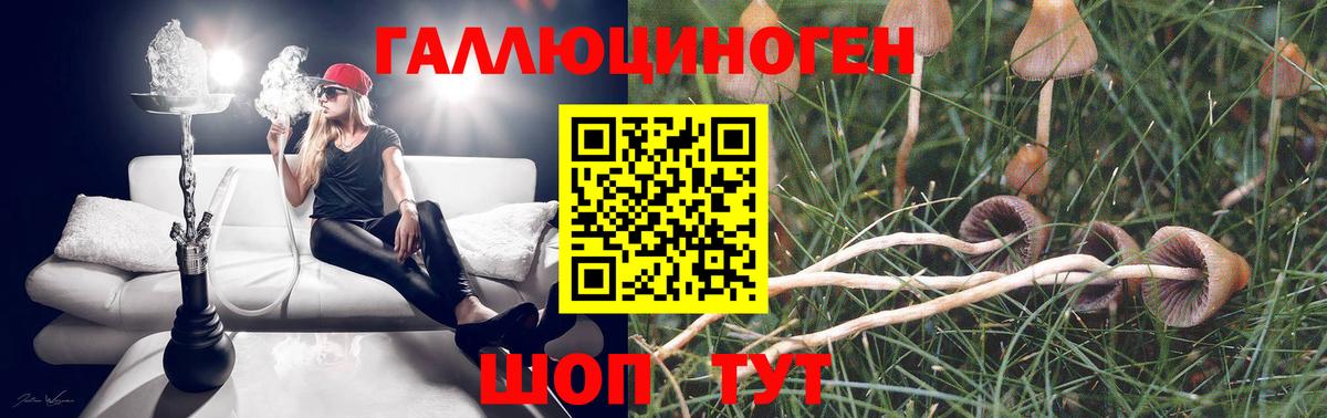 Калуга  Псилоцибиновые грибы Psilocybine cubensis  Псилоцибиновые грибы GOLDEN TEACHER  Вход с VPN 