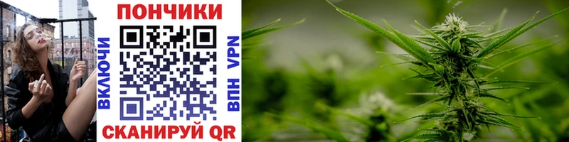 гидра ссылка  Калуга  Конопля THC 21%  сколько стоит 