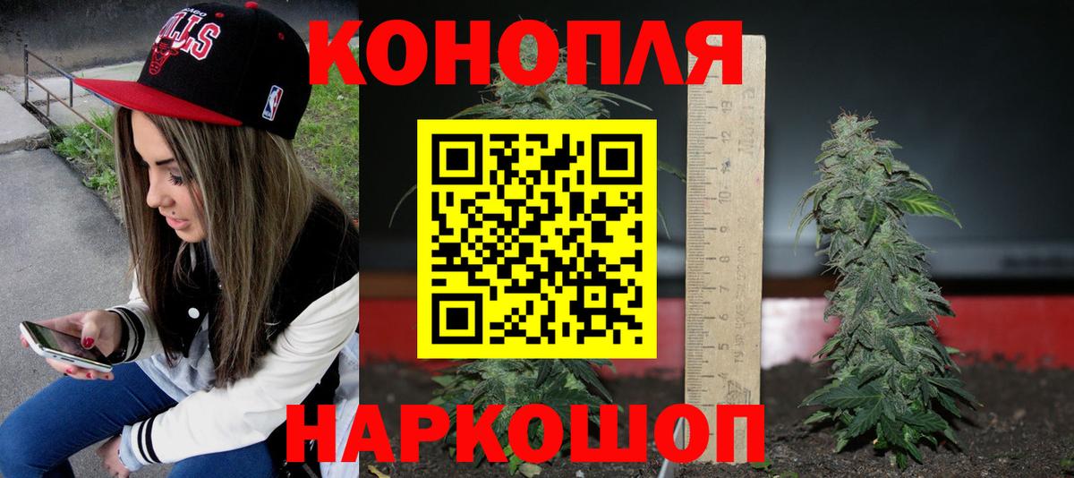 Каннабис семена Калуга